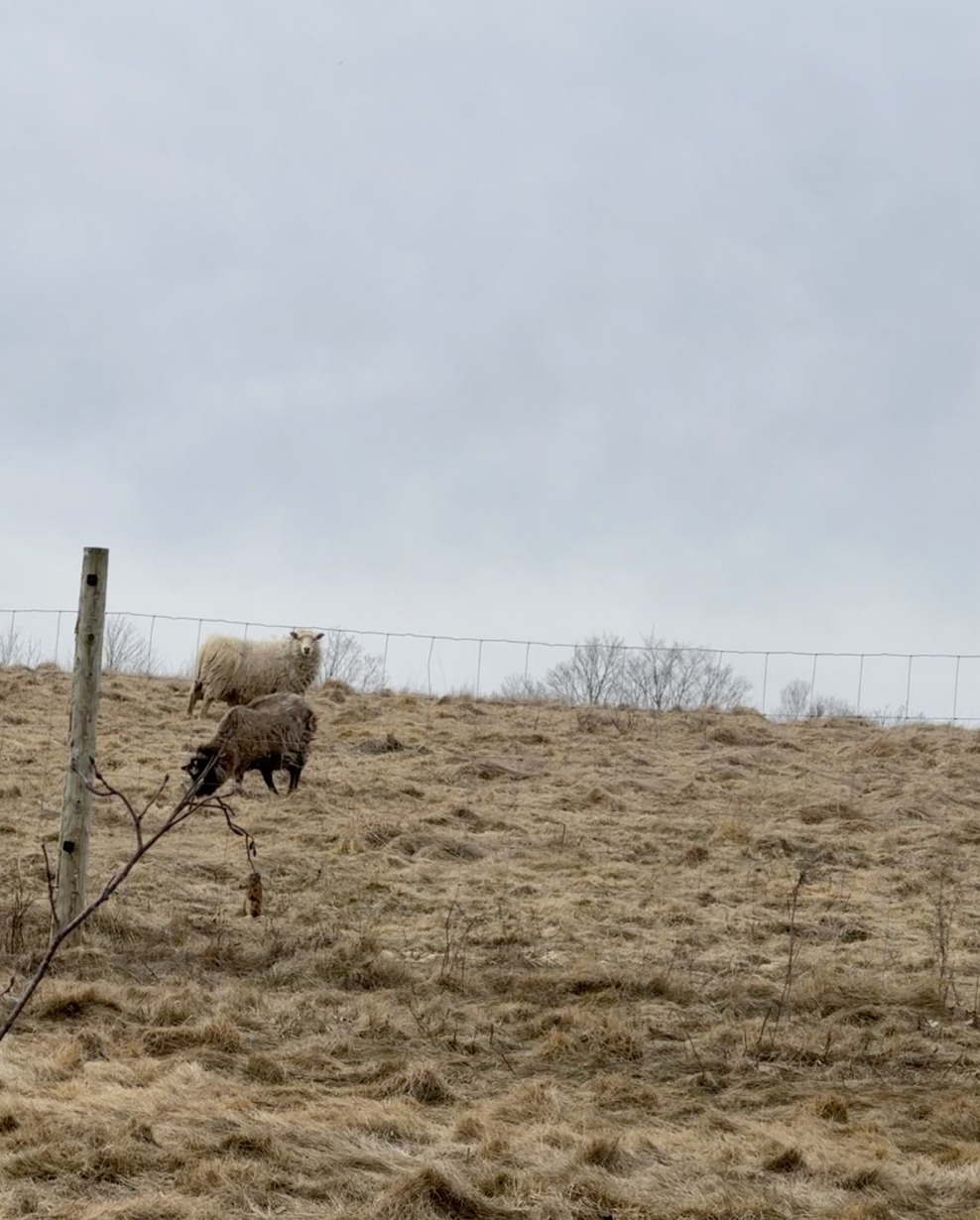 Someone’s Watching!