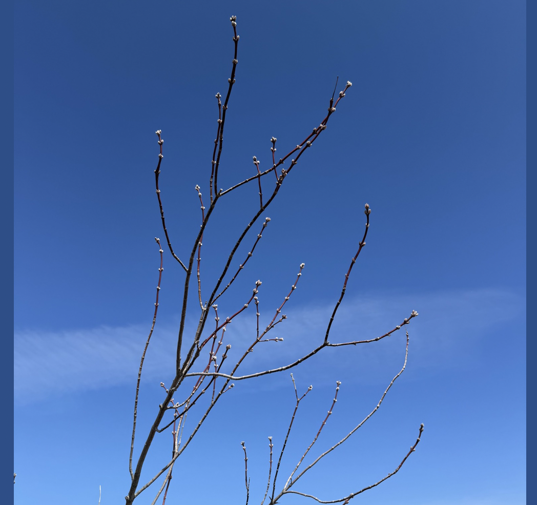 Little wins along the way